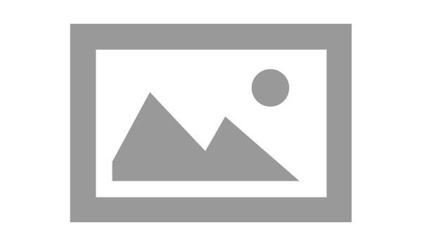 Friedlander & Gorris, P.A. Logo